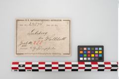 Etikett zu Bronzegehänge (NHMW-PRAE-024574)